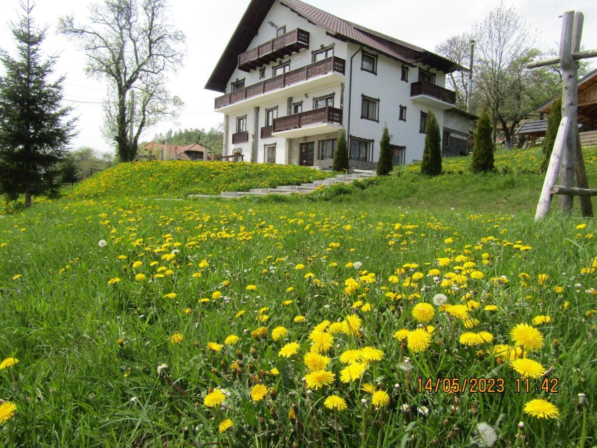 Ograda De La Munte Vila Bran  Exterior foto